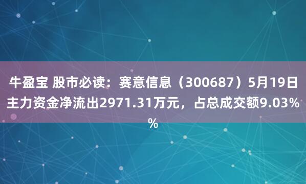 牛盈宝 股市必读：赛意信息（300687）5月19日主力资金净流出2971.31万元，占总成交额9.03%