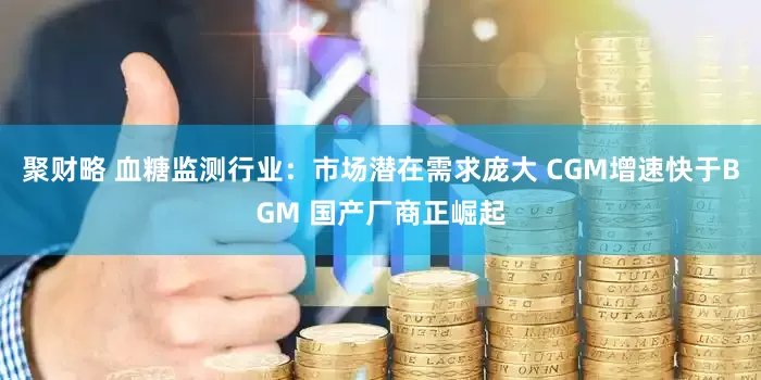 聚财略 血糖监测行业：市场潜在需求庞大 CGM增速快于BGM 国产厂商正崛起