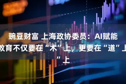 豌豆财富 上海政协委员：AI赋能教育不仅要在“术”上，更要在“道”上