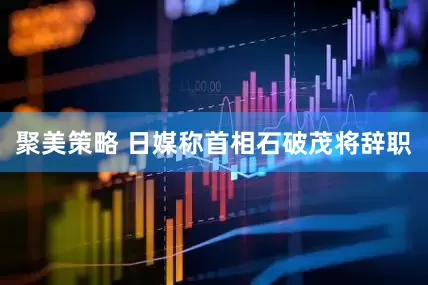 聚美策略 日媒称首相石破茂将辞职
