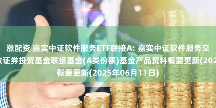 涨配资 嘉实中证软件服务ETF联接A: 嘉实中证软件服务交易型开放式指数证券投资基金联接基金(A类份额)基金产品资料概要更新(2025年06月11日)