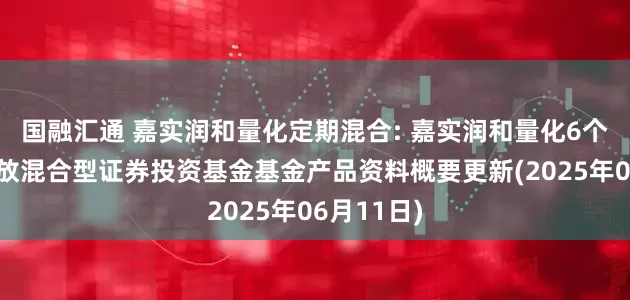 国融汇通 嘉实润和量化定期混合: 嘉实润和量化6个月定期开放混合型证券投资基金基金产品资料概要更新(2025年06月11日)
