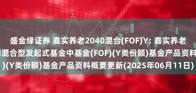 盛金缘证券 嘉实养老2040混合(FOF)Y: 嘉实养老目标日期2040五年持有期混合型发起式基金中基金(FOF)(Y类份额)基金产品资料概要更新(2025年06月11日)