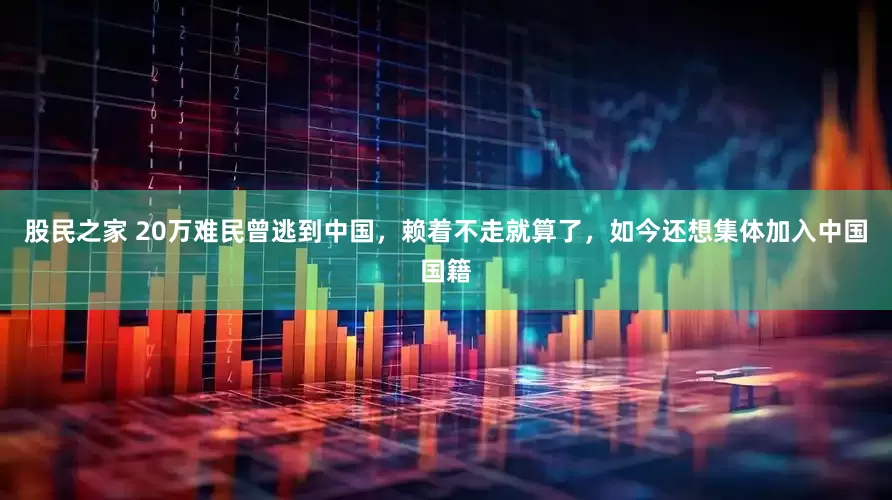 股民之家 20万难民曾逃到中国，赖着不走就算了，如今还想集体加入中国国籍